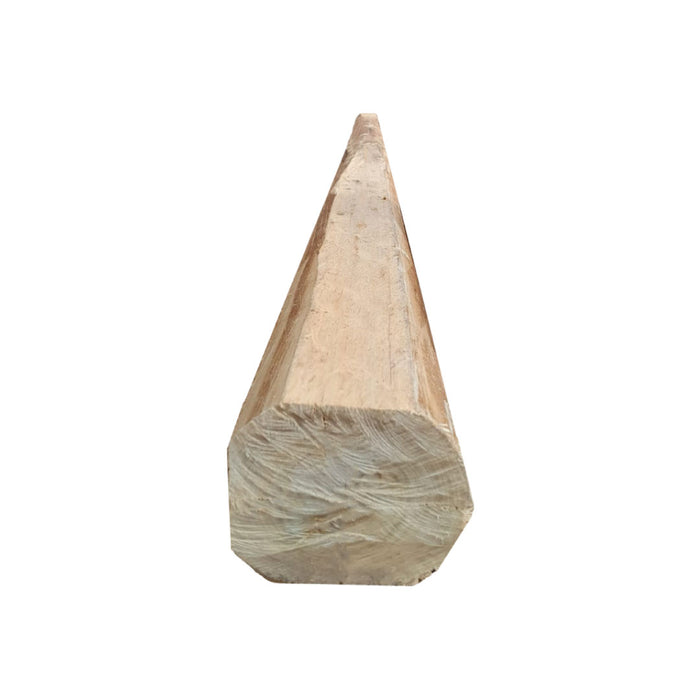 Viguilla Labrada